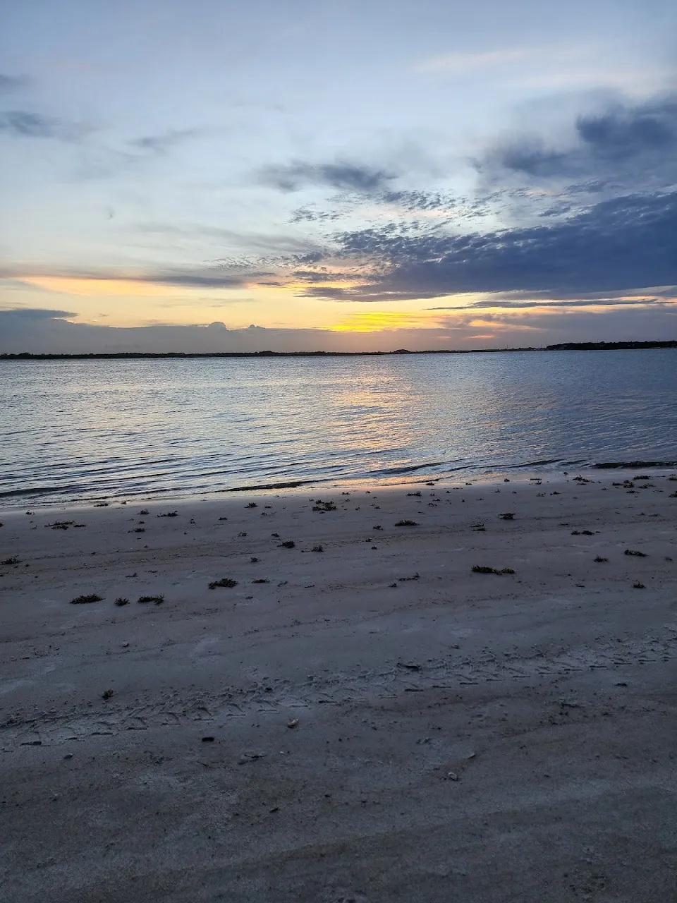 New Smyrna Dunes Dog Beach
