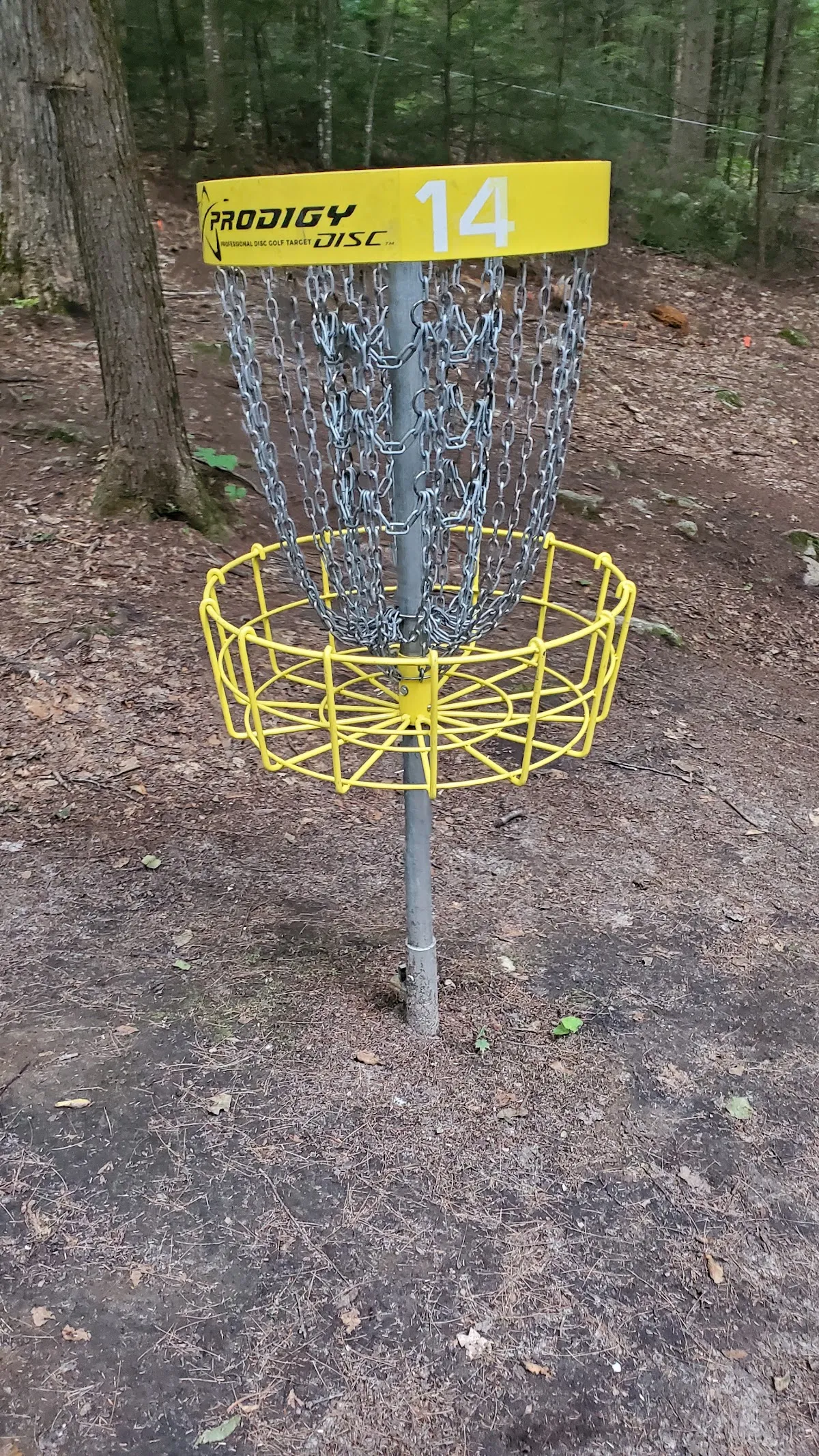 Pinnacle Disc Golf Course