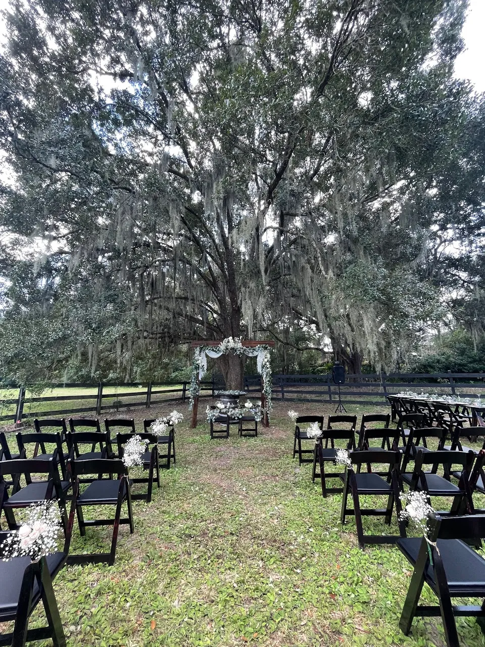 Goldenbear Event Rentals