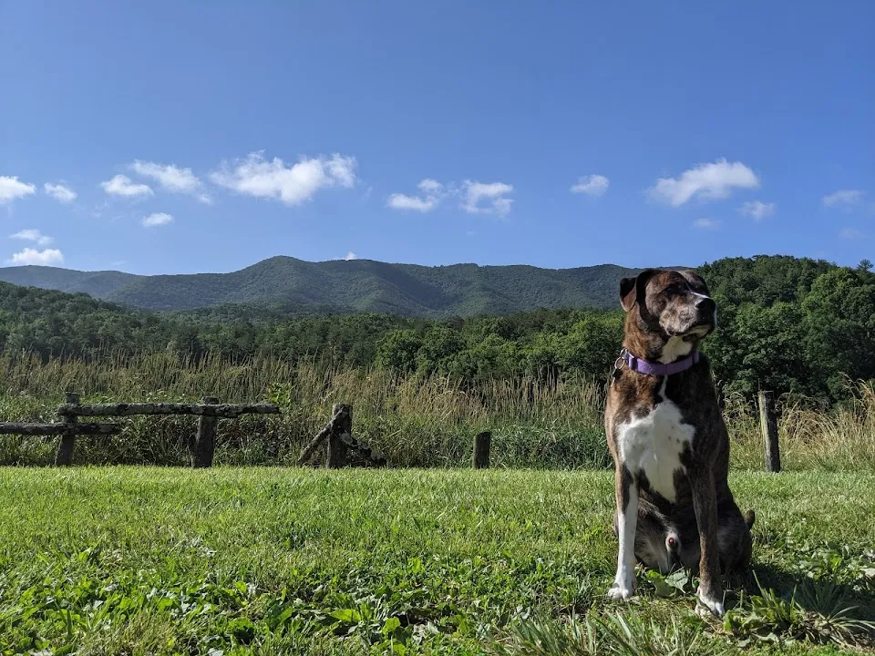 Caldwell Fields Campground