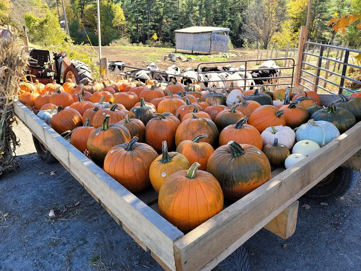 LeClair Acres Farm Stand