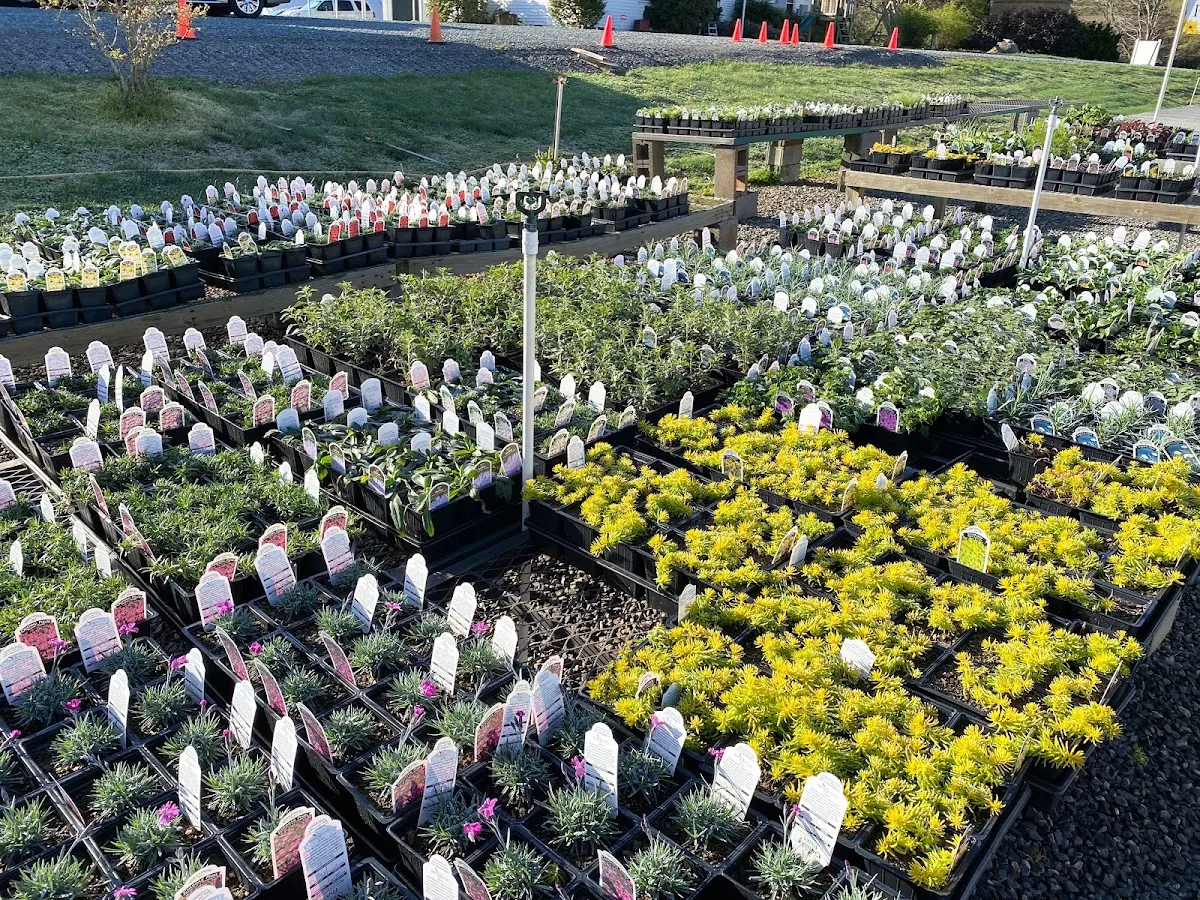 Mitchell's Nursery & Greenhouse Inc.