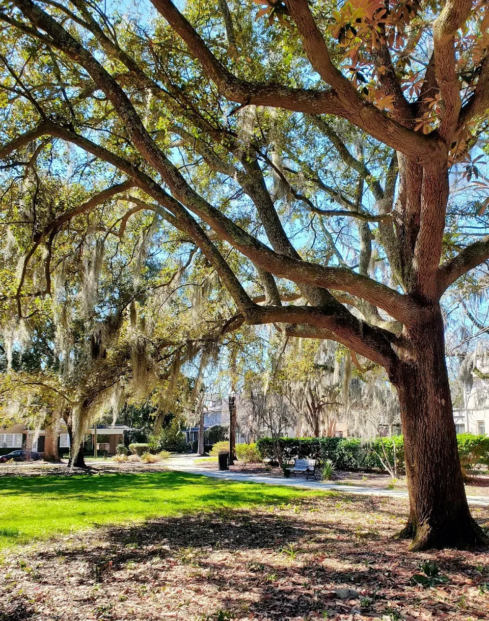 Lattimore Park