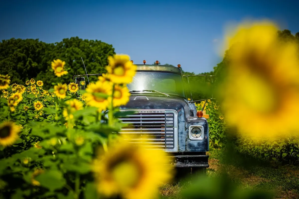 Red River Farms