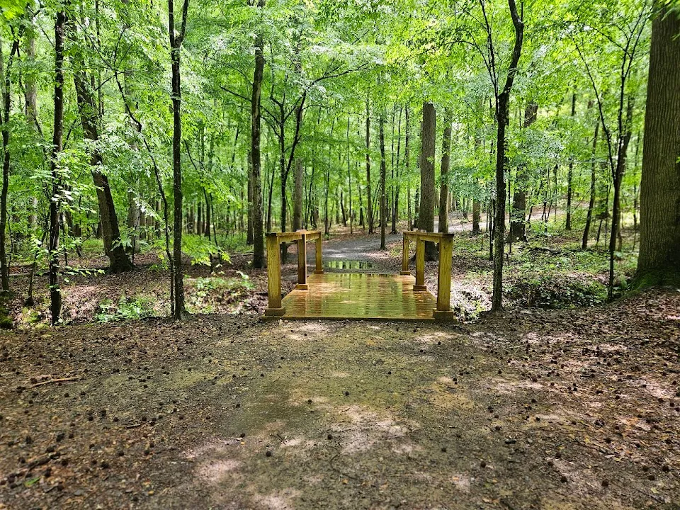 Lewis Park
