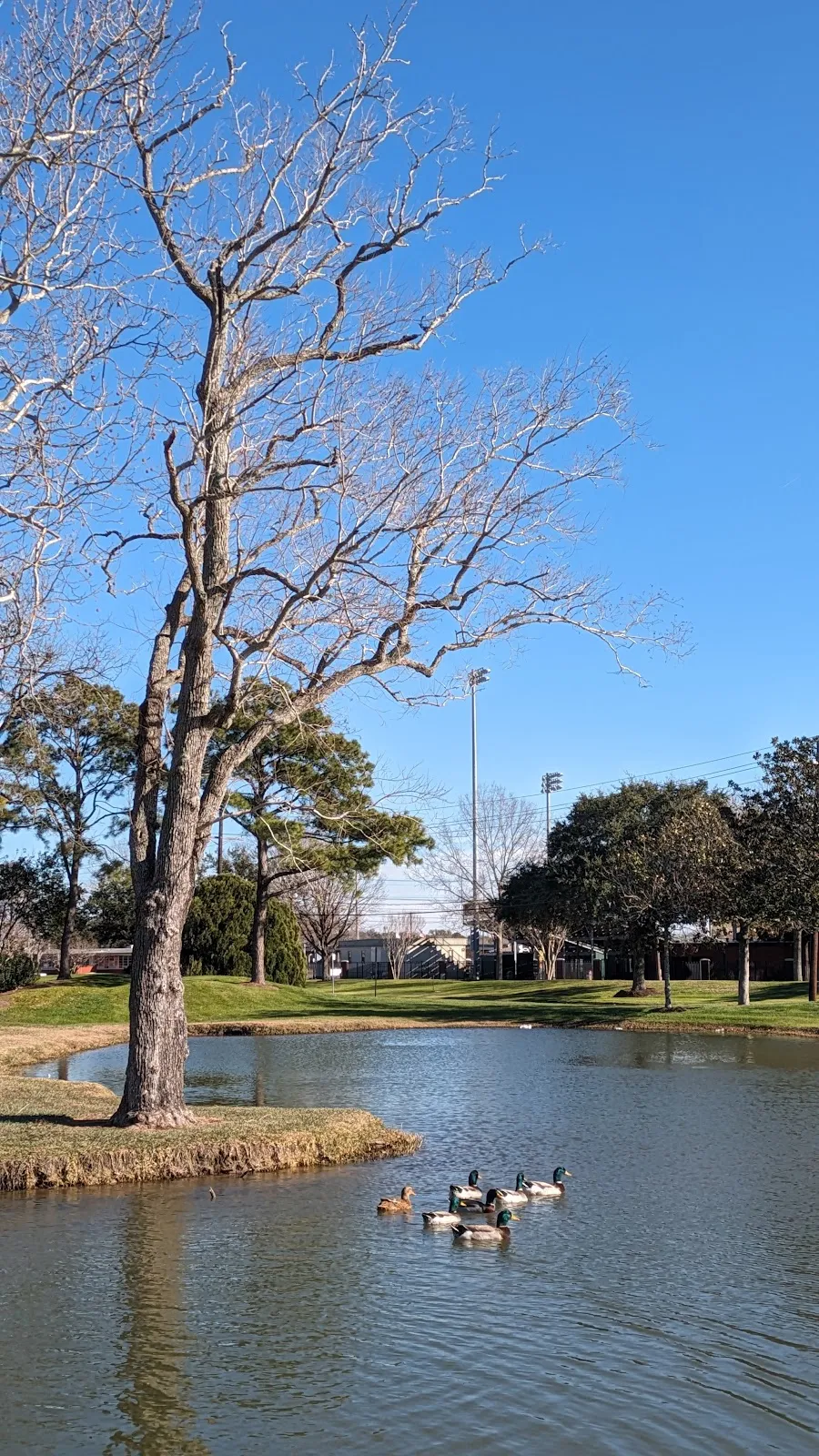 Virginia Tech Commuter Parking-Duck Pond Lot