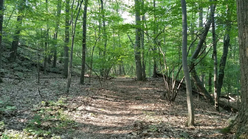 Fuller Mountain Preserve