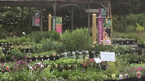 Crows Nest Greenhouses