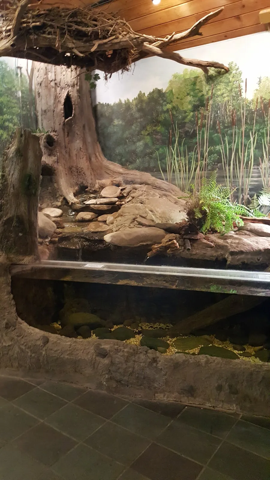Hudson Highlands Wildlife Education Campus