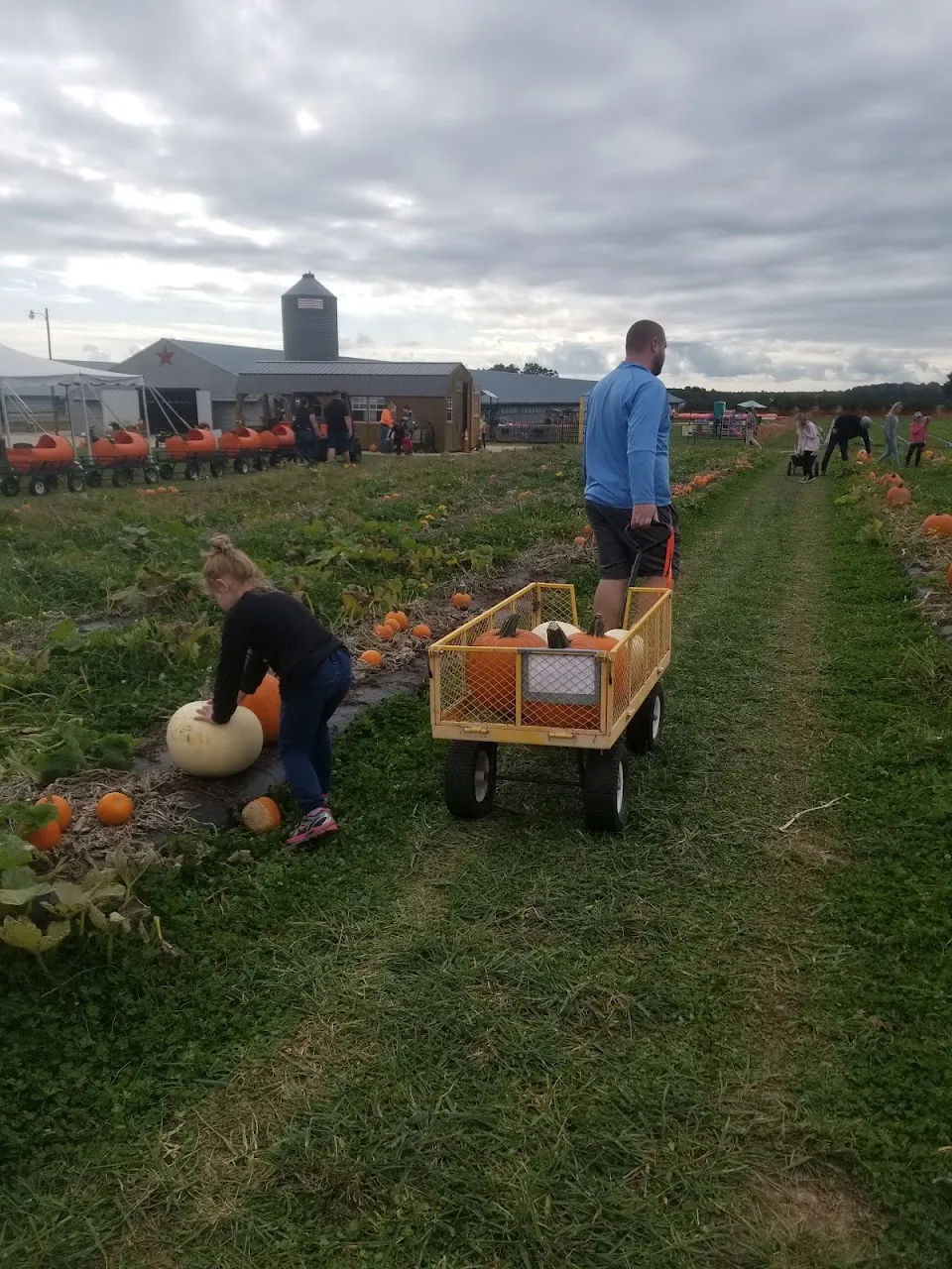 Family Affair Farm