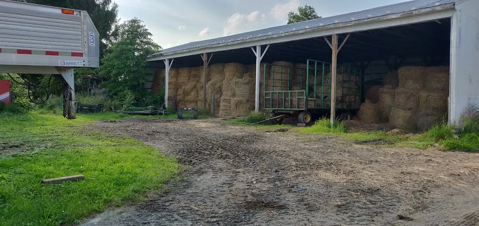 Sprucegate Holsteins Farm