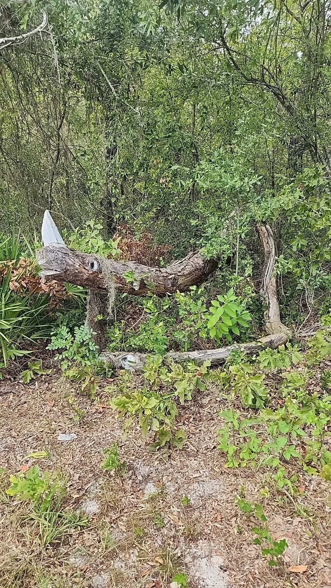 Suncoast Trail
