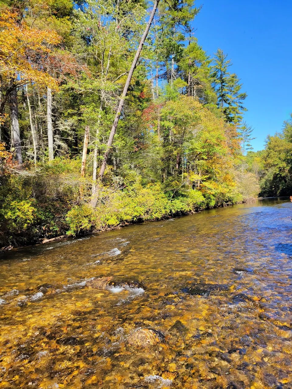 Whetstone Horse Campground