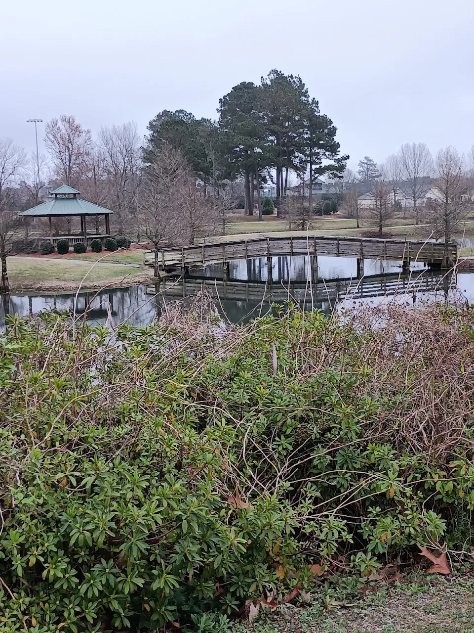 Palmetto Park