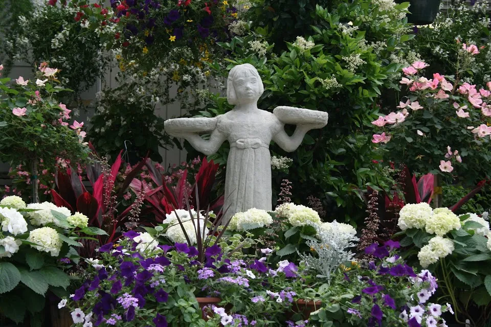 Fancy Plants Inc.