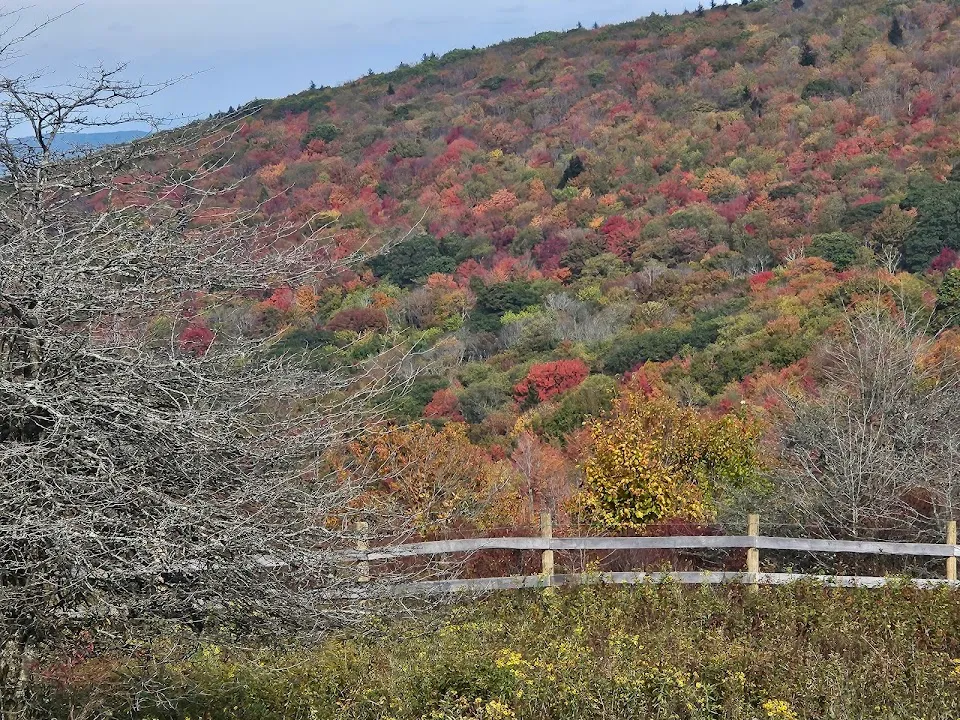 Fox Creek Horse Camp