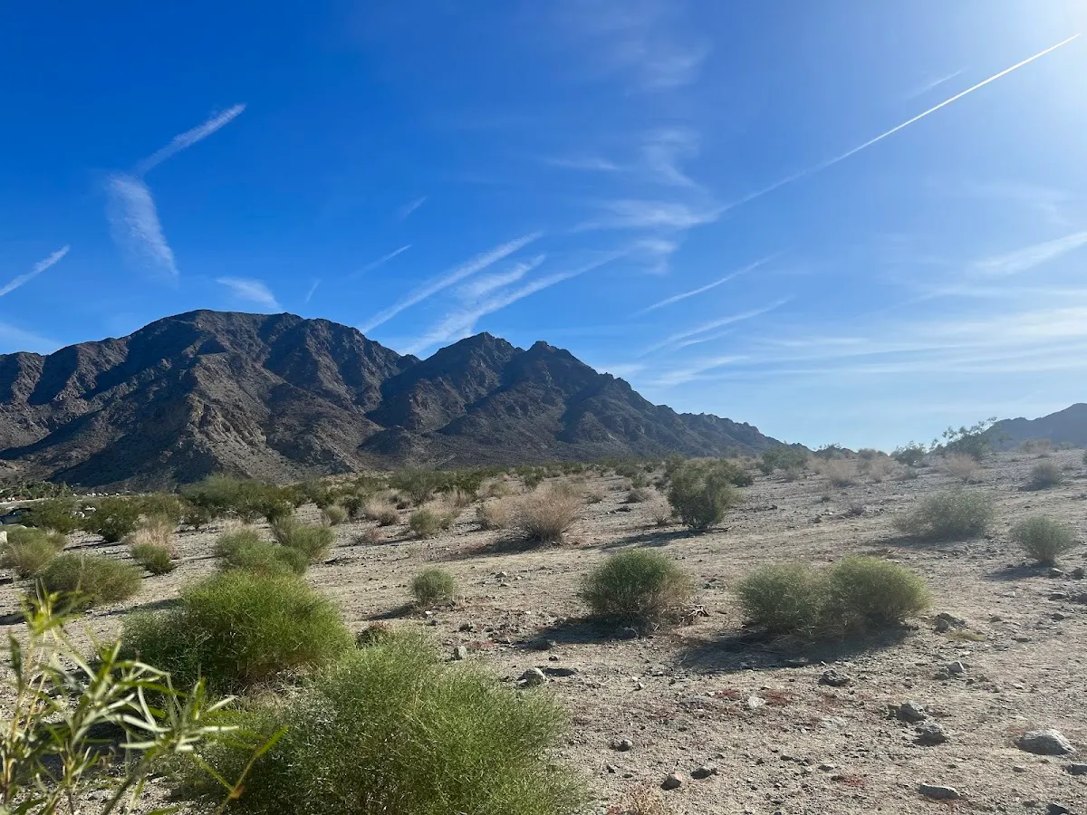 Cove Oasis Trailhead