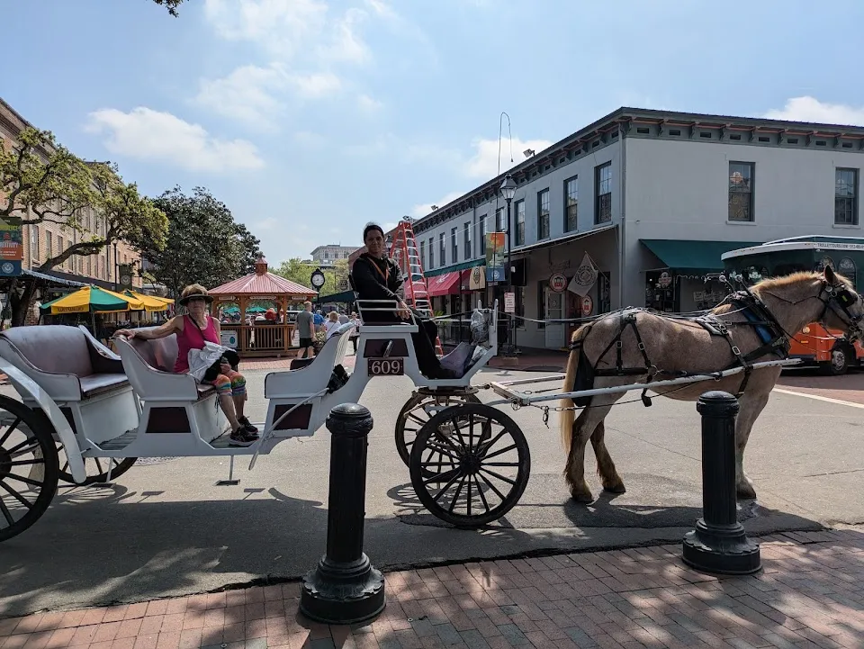 Carriage Tours of Savannah