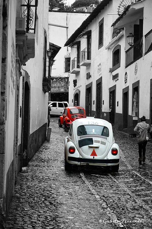 Fernandez Photography & Fine Arts Gallery