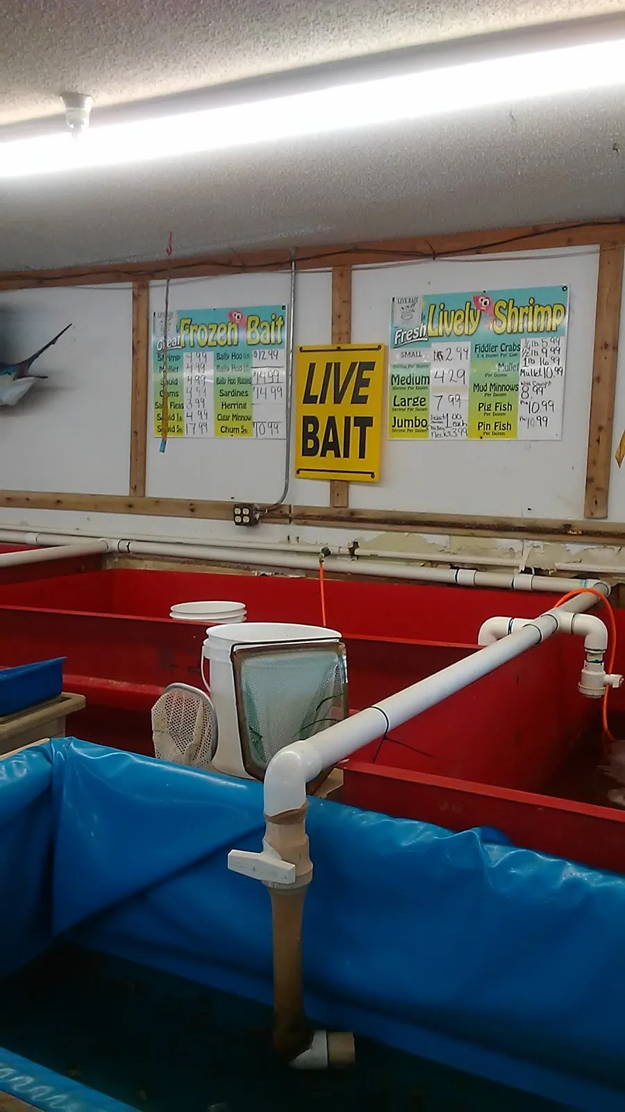 NSB Bait and Tackle