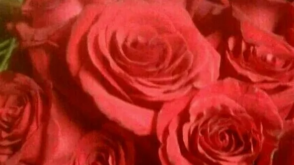 RPF FLORAL DESIGN STUDIO