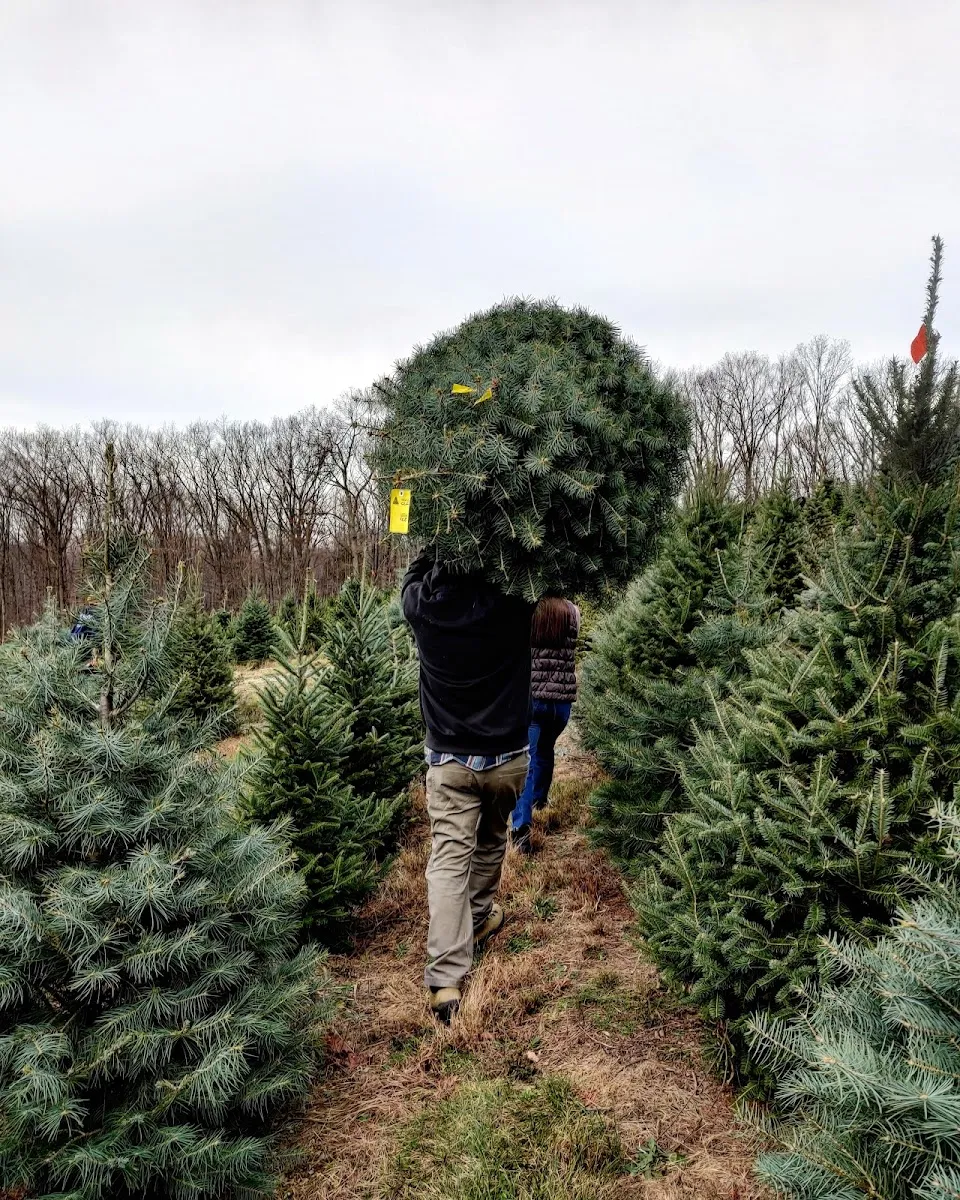 Emmerich Tree Farm