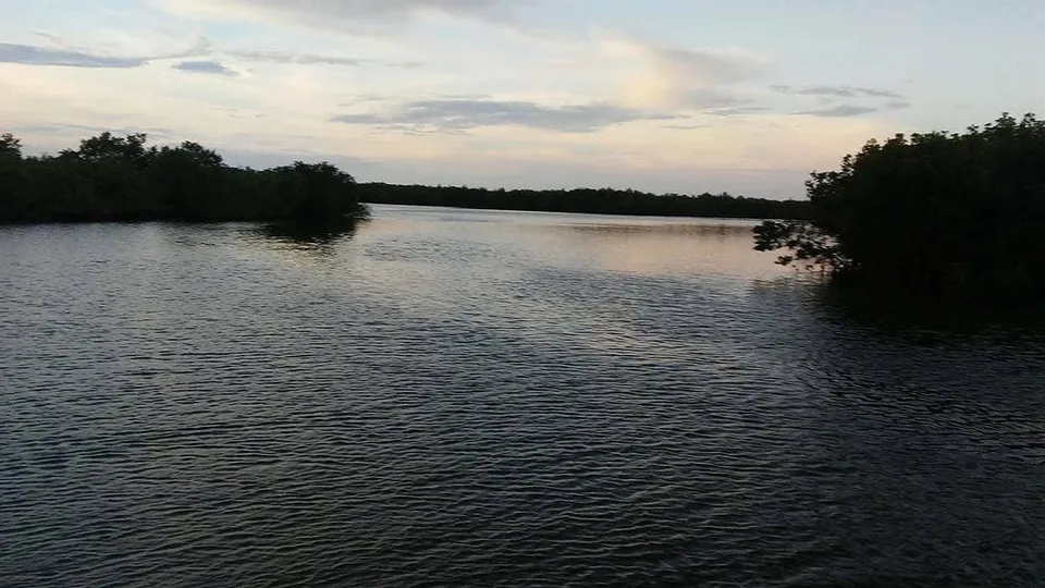Fishing Frenzy