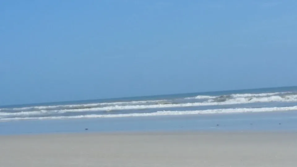 Sandcastle Condo Assn of NSB