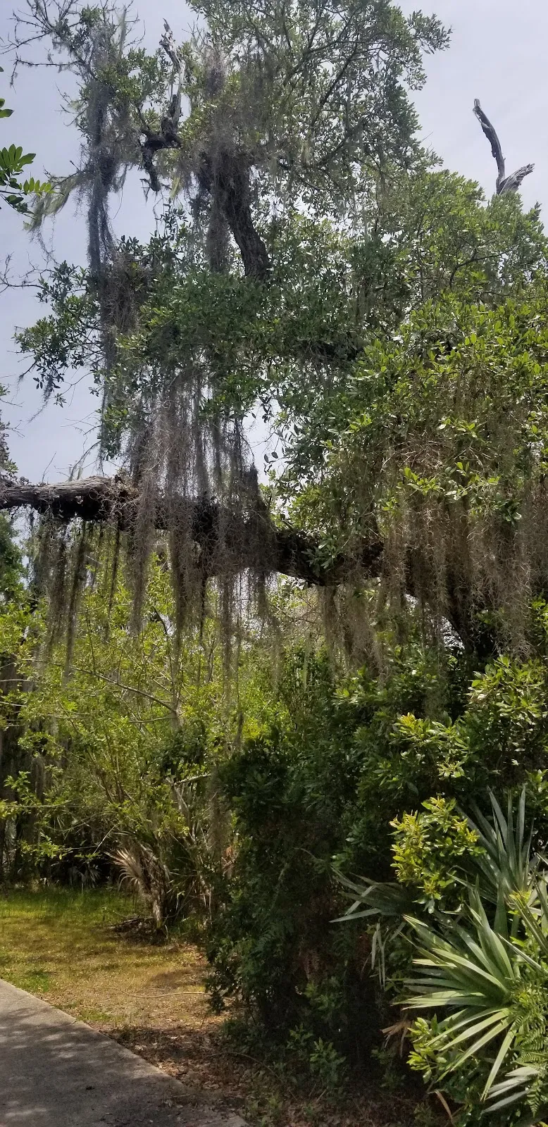 Indian River Lagoon Park