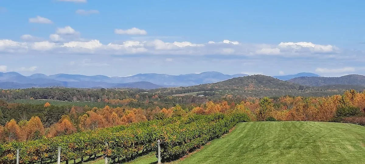 Chattooga Belle Farm