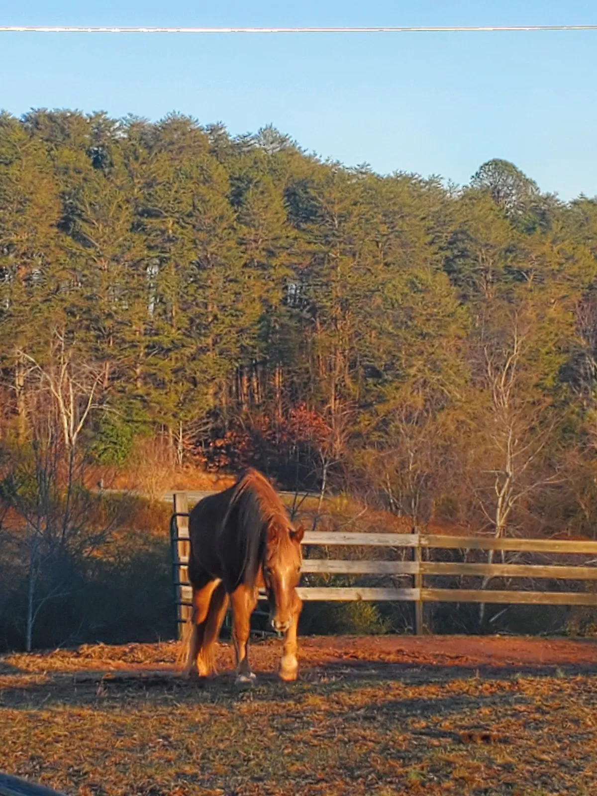 Five Winds Farm Bed and Barn