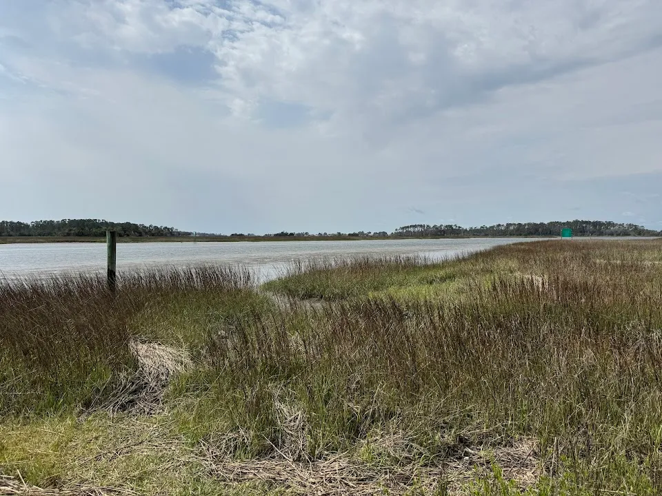 Butterbean Beach