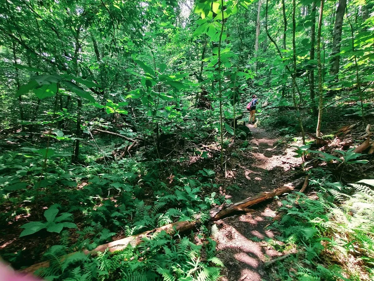 Etowah Hiking Trail