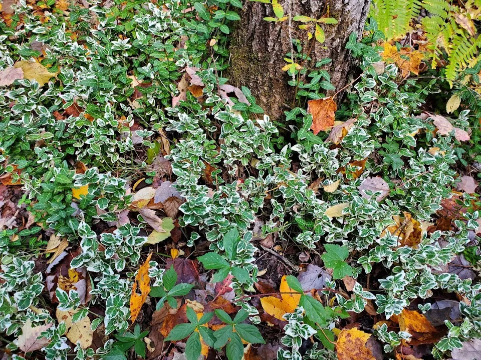 Shawangunk Nature Preserve