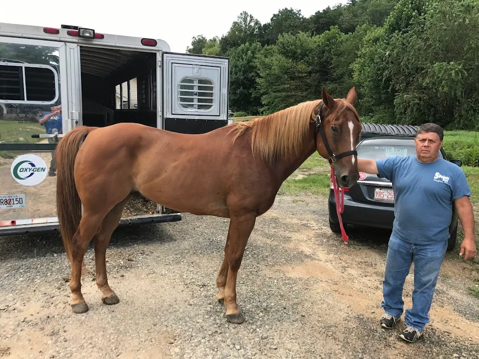 Rabun Animal Hospital