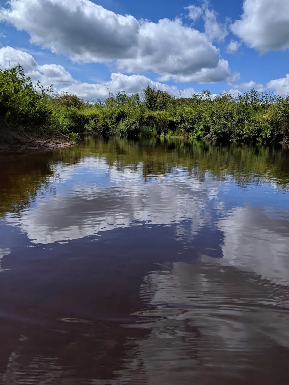 North St Moose River