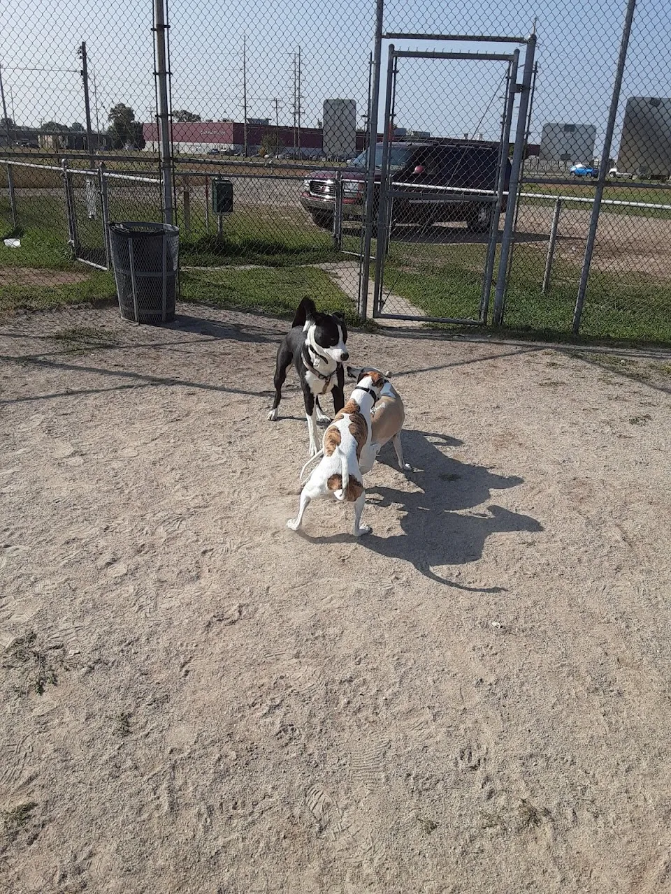 Cadillac Dog Park