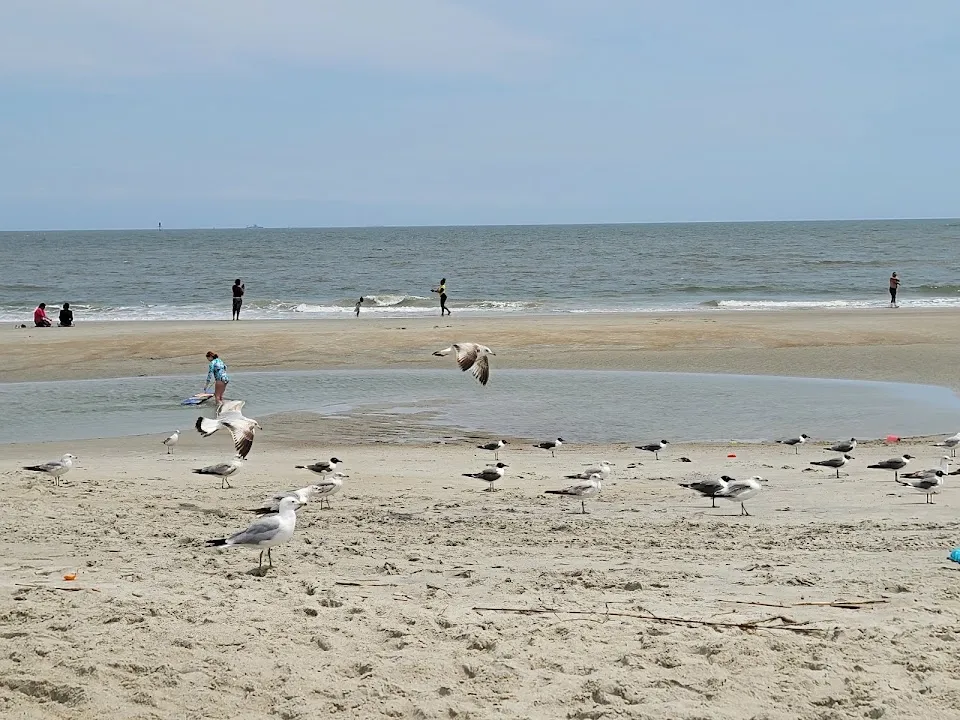 Mid Beach