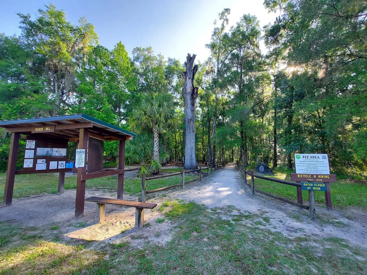 Withlacoochee State Forest - Tucker Hill Day Use Area