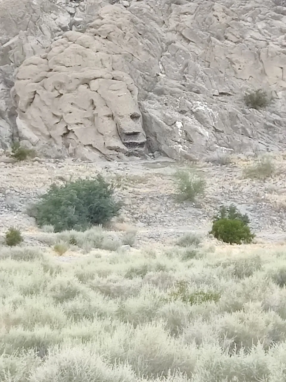 Coral Mountain