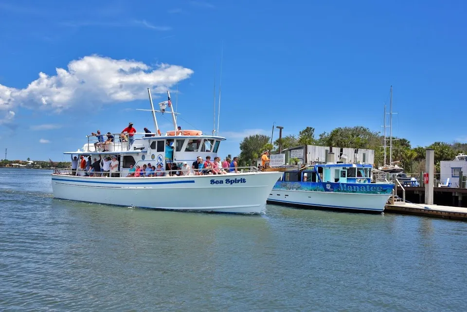 Sea Spirit Deep Sea Fishing Charters