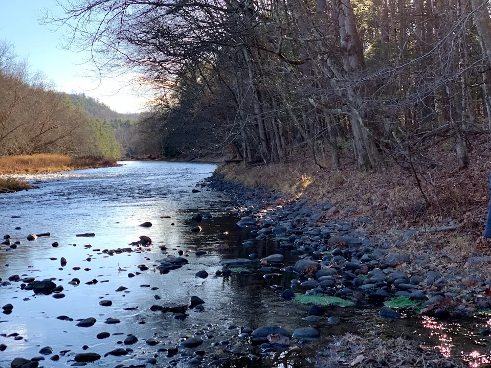 Neversink Preserve