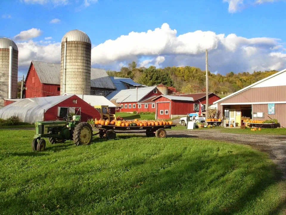 MAWS Farm