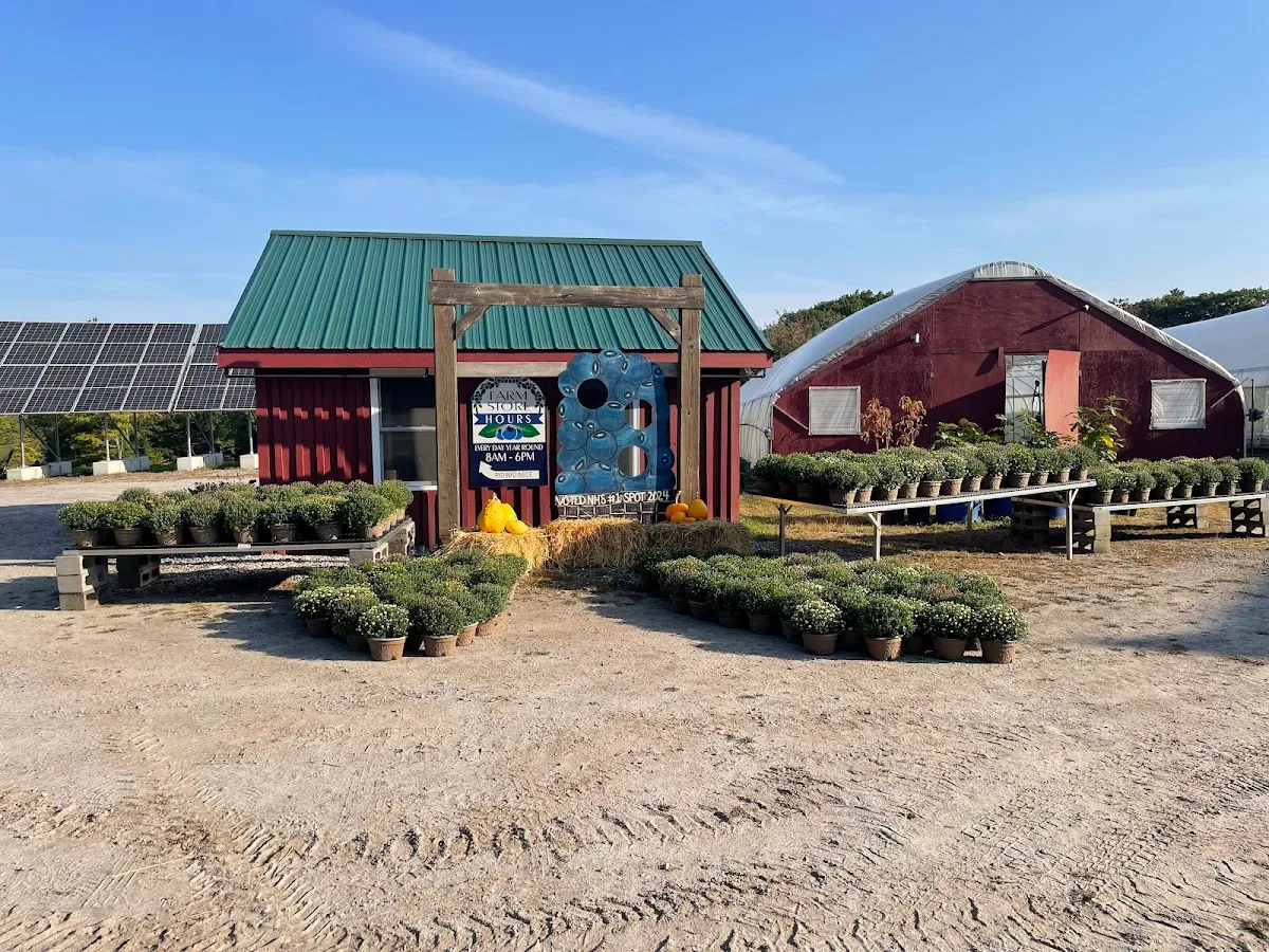 Bascom Road Blueberry Farm