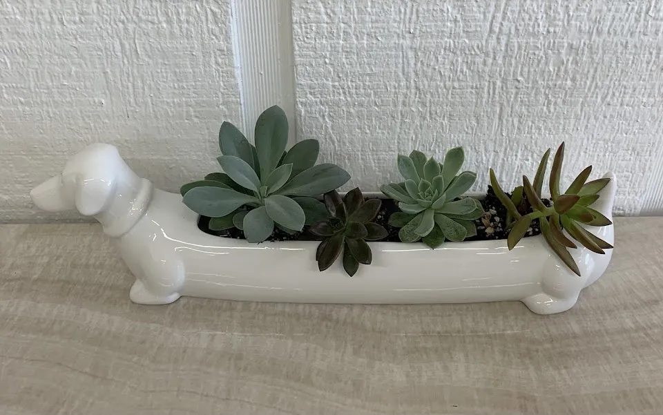 Garden Treasures