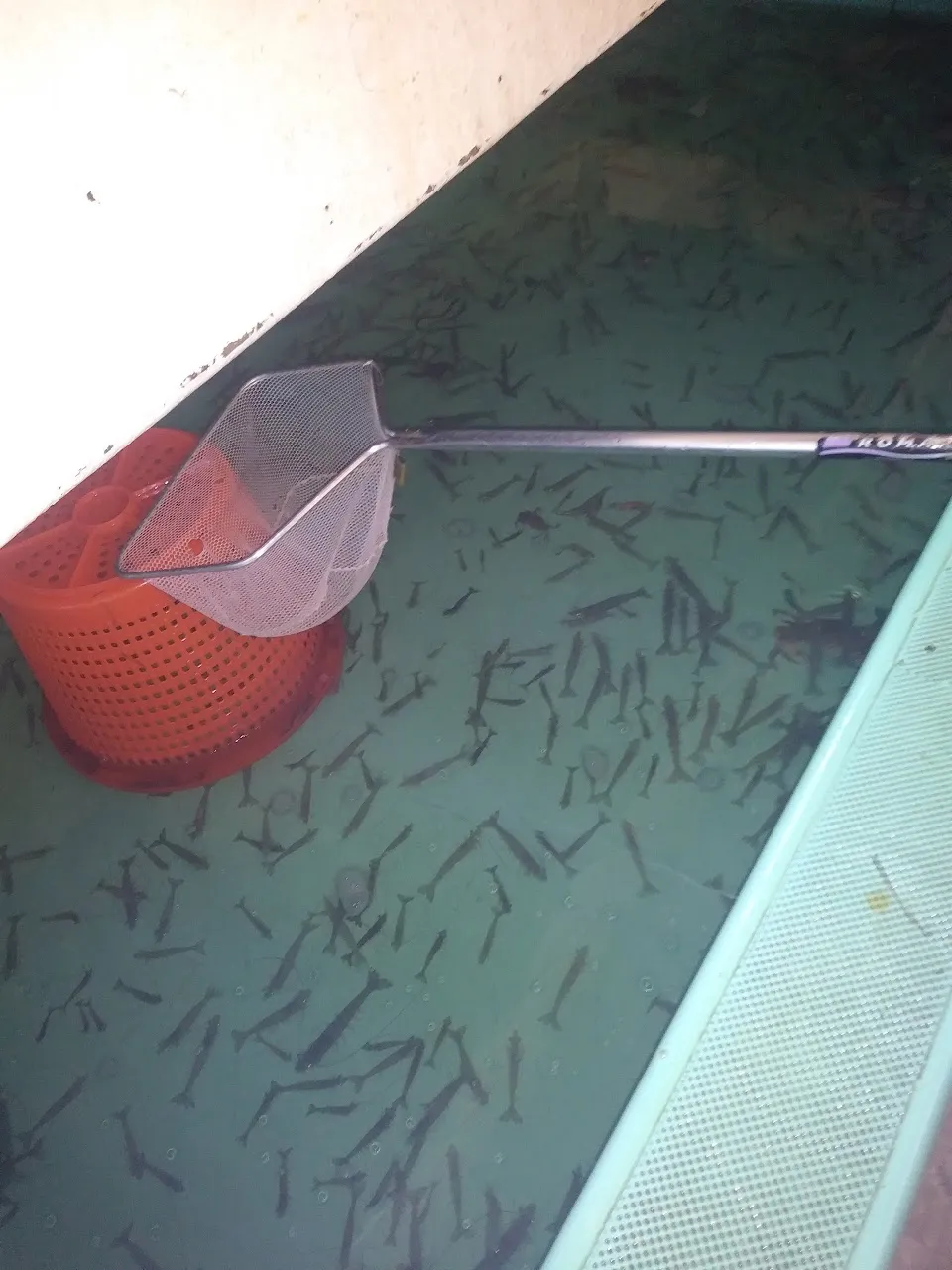 Edgewater Bait & Tackle
