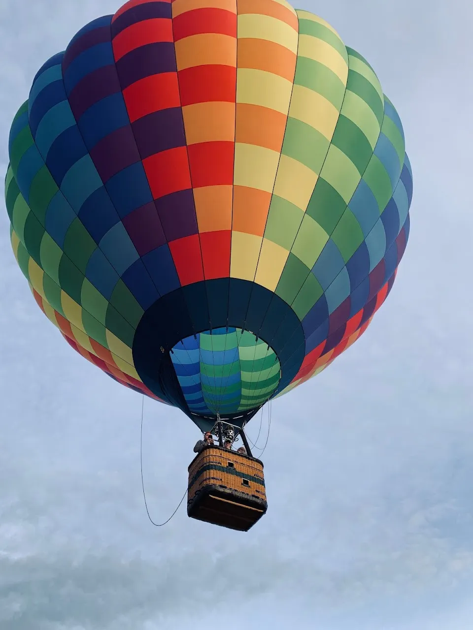Fly Wendy Fly