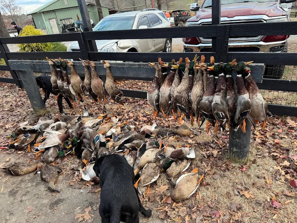 Wiley Creek Duck Preserve