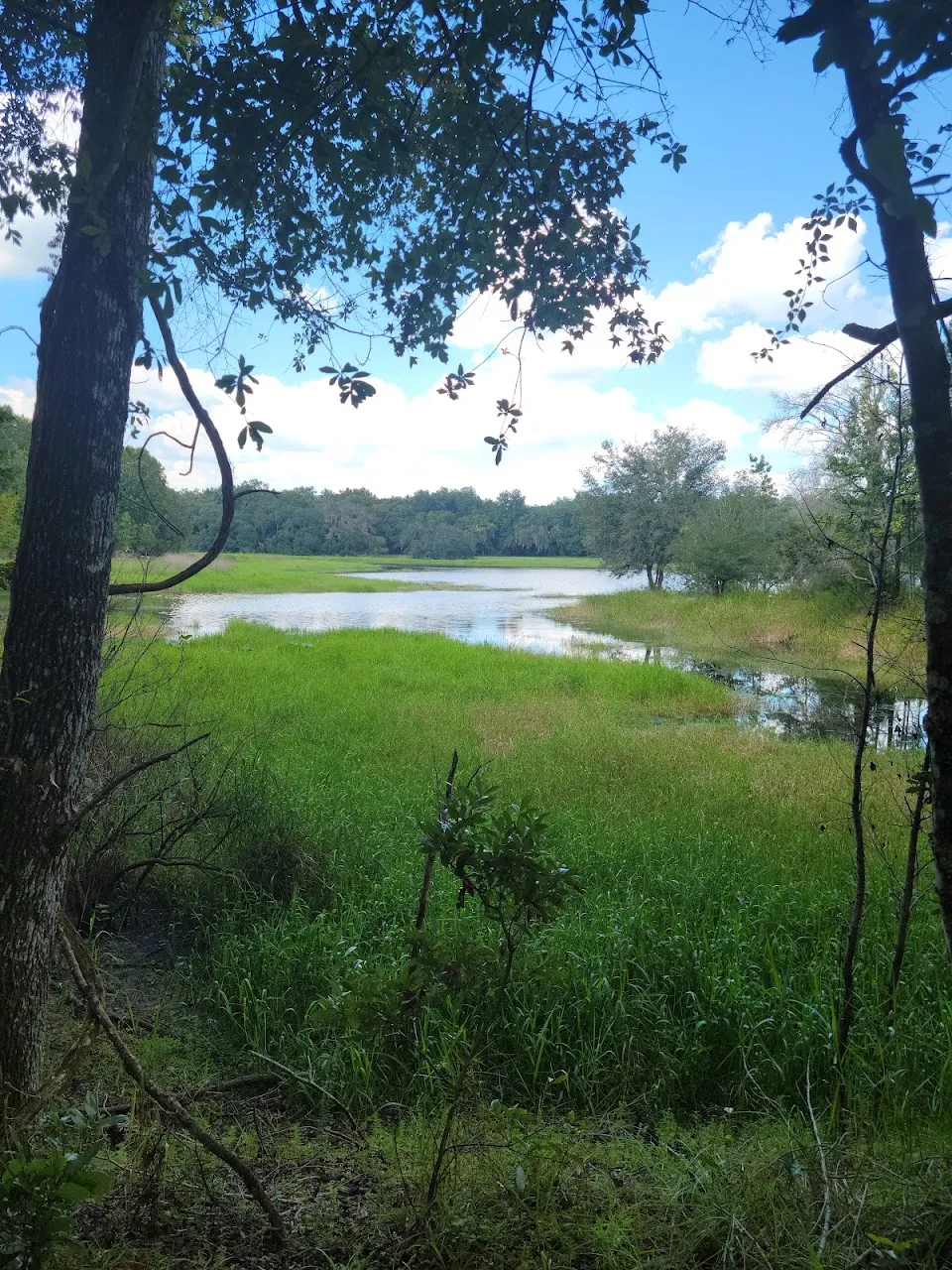 Withlacoochee State Forest Visitor Center
