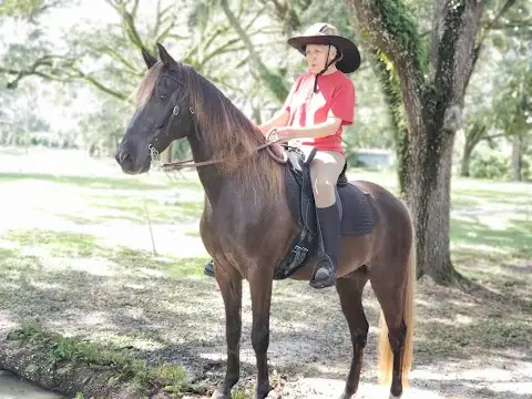 Glover's Stables